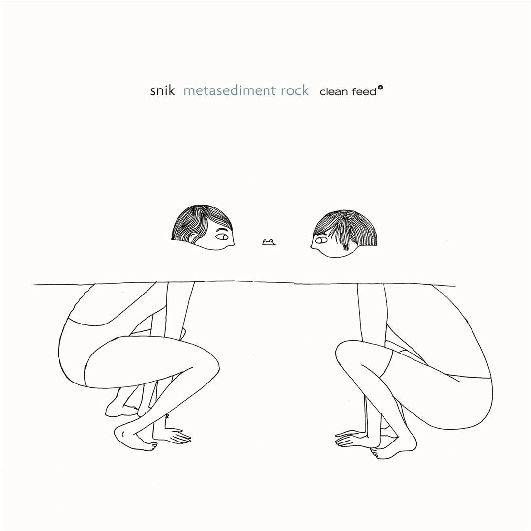 Metasediment Rock cover art