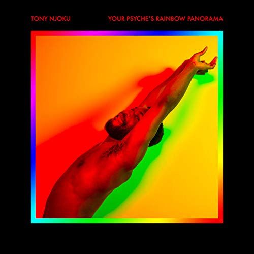 Your Psyche's Rainbow Panorama cover art