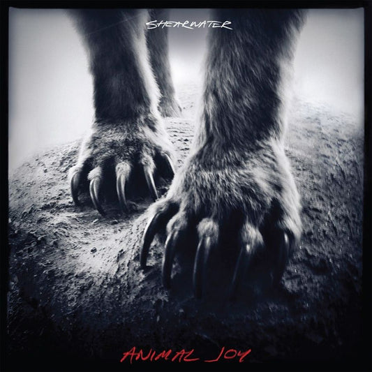 Animal Joy cover art