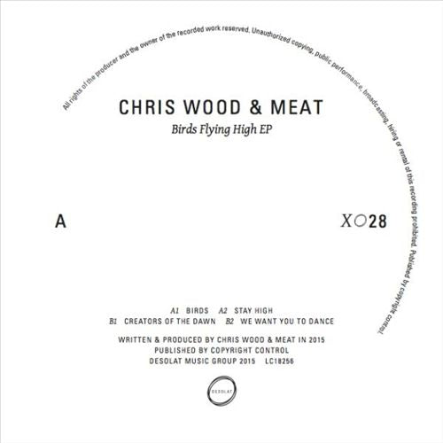 Birds Flying High EP cover art