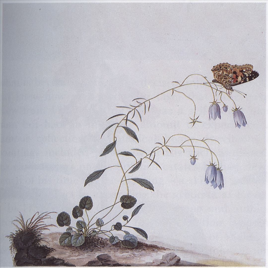 I: The Suicide Tree / II: A Rose From the Dead cover art