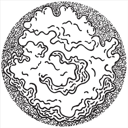 Primary Fluctuation cover art