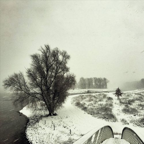 Winter cover art