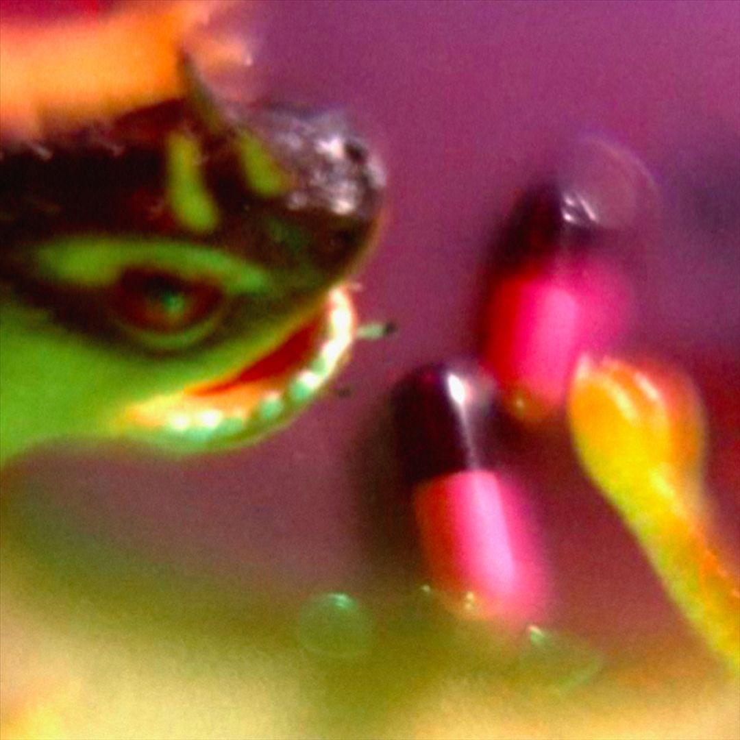 Take the Fall cover art