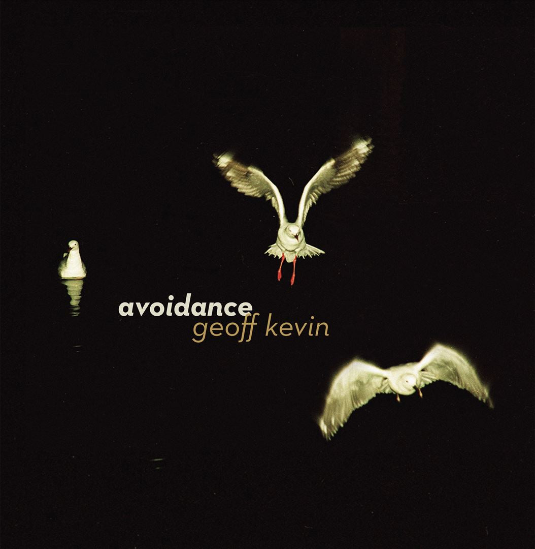 Avoidance cover art