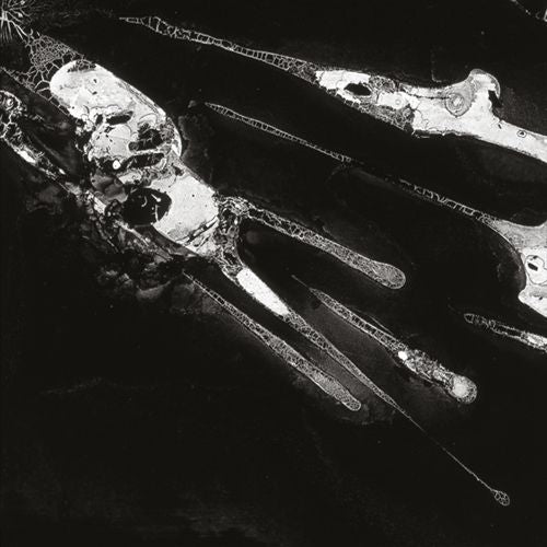 Pschic Health cover art