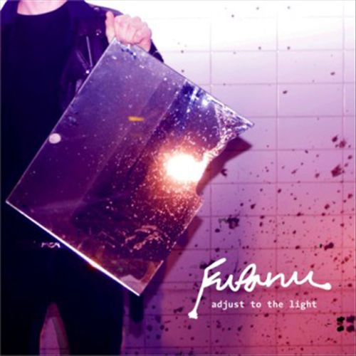 Adjust to the Light cover art