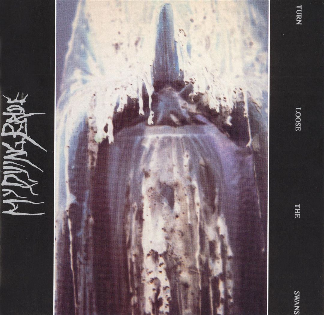 Turn Loose the Swans cover art