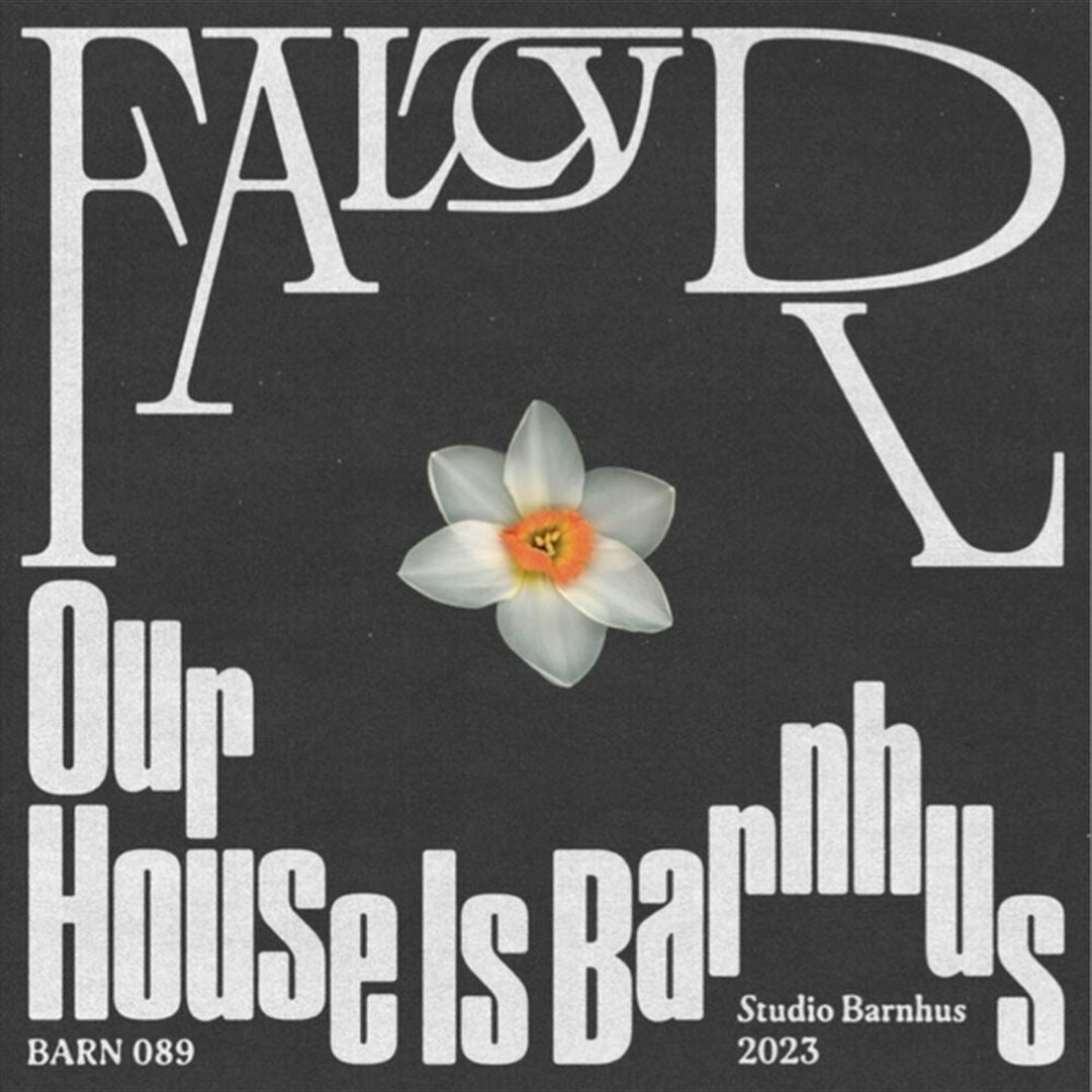 Our House Is Barnhus cover art