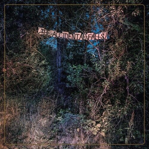 Accidental Falls cover art