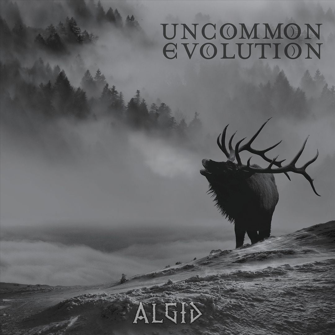 Algid cover art
