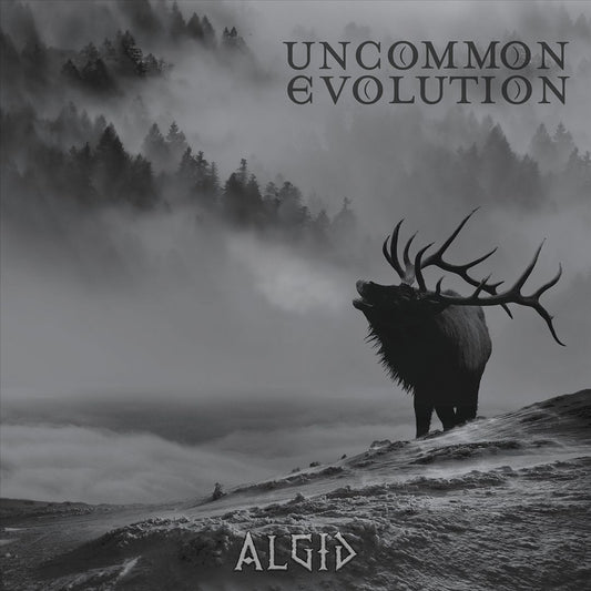 Algid cover art