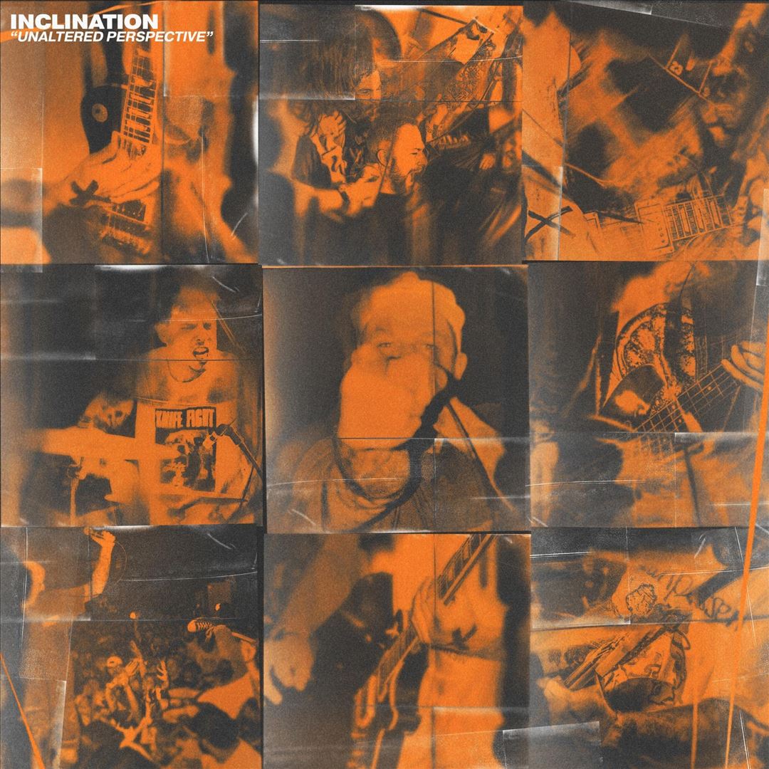 Unaltered Perspective cover art