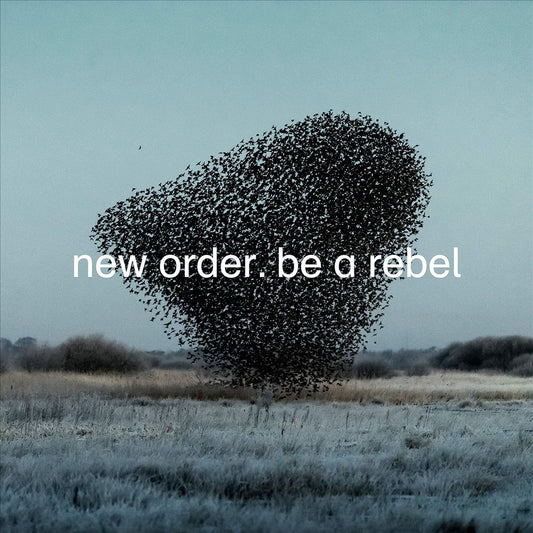Be a Rebel cover art