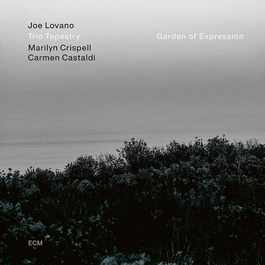 Trio Tapestry: Garden of Expression cover art