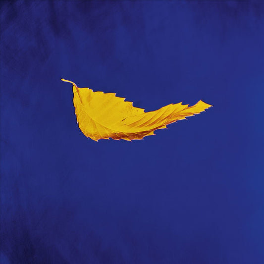 True Faith cover art