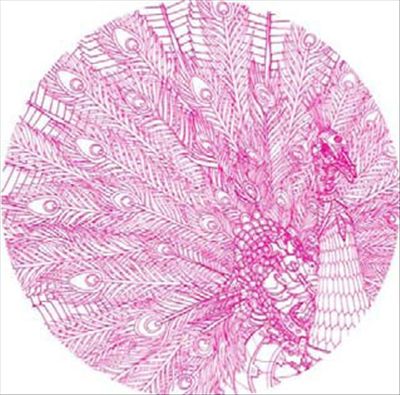 Peacock cover art
