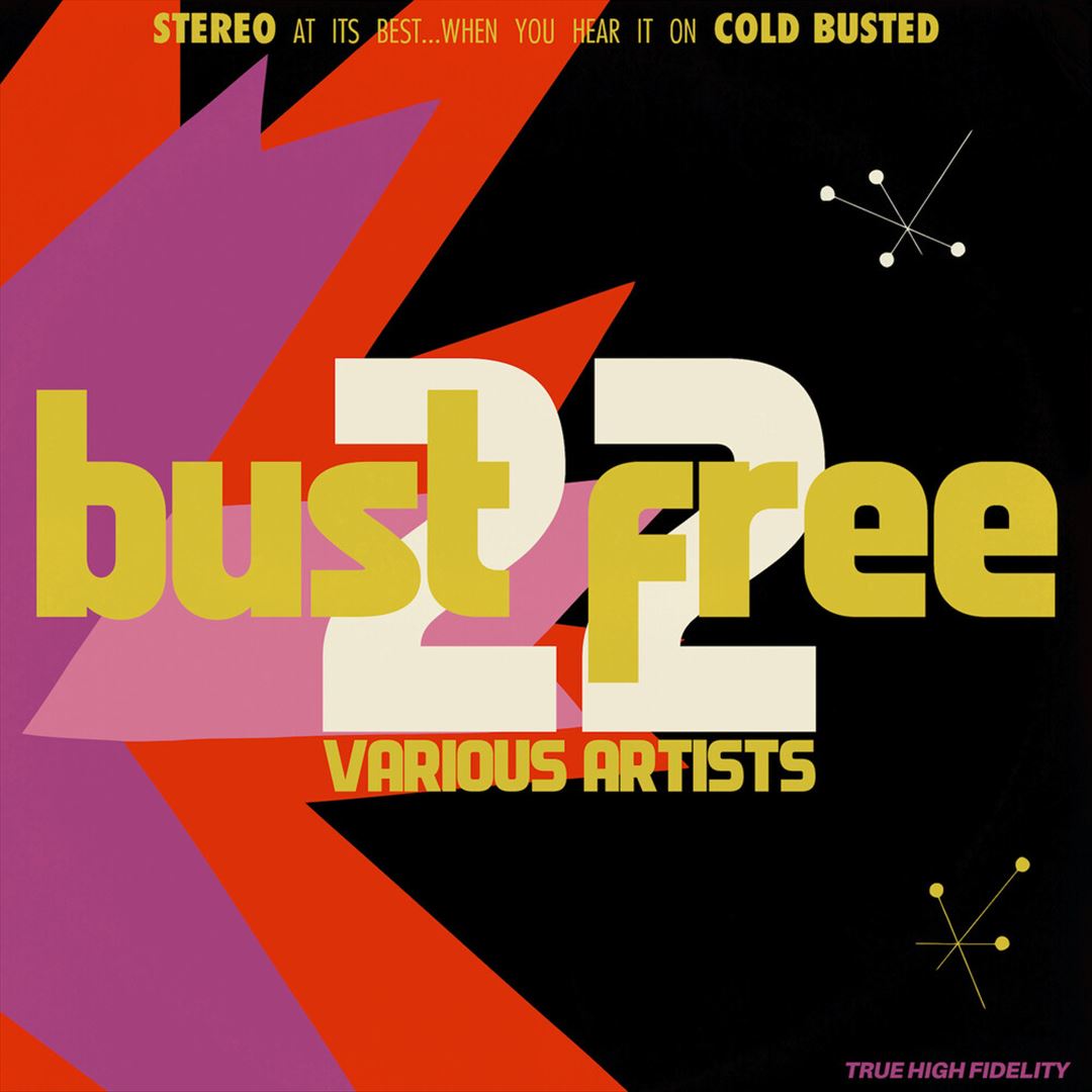 Bust Free 22 cover art