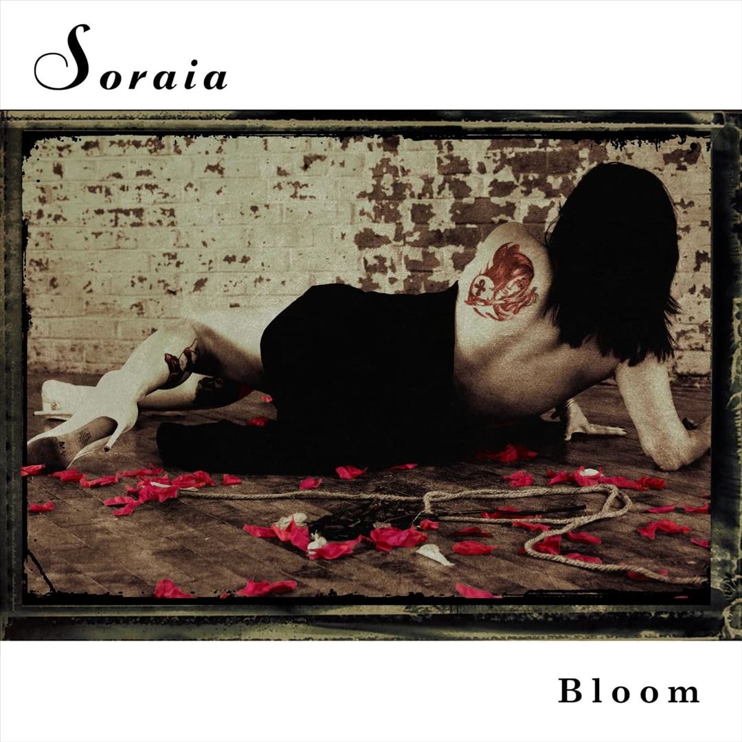 Bloom cover art