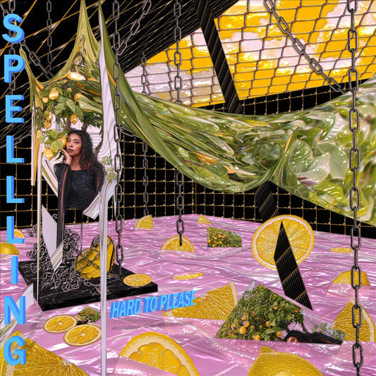 Hard to Please cover art