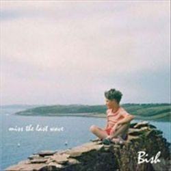 Miss the Last Wave cover art