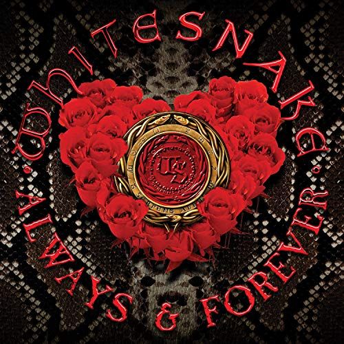 Always & Forever [12" Picture Disc] cover art