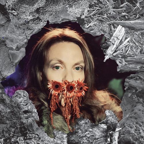 Imaginature cover art