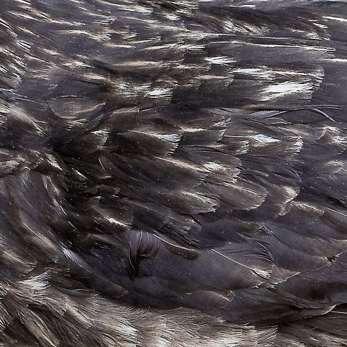 Árstíðir cover art