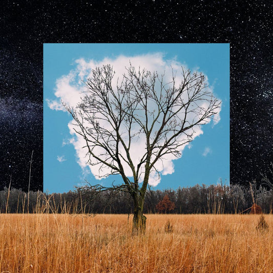 Bloom Innocent cover art