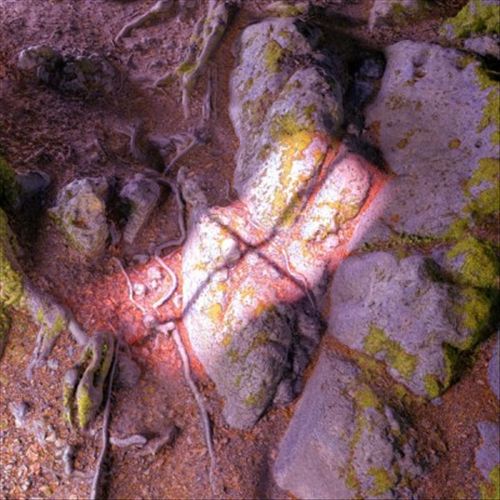 Lake From the Louvers cover art