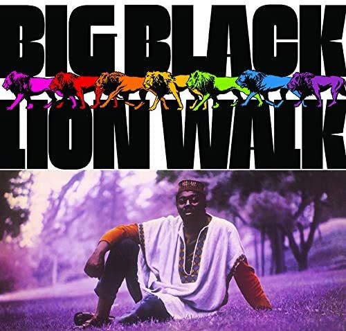 Lion Walk cover art
