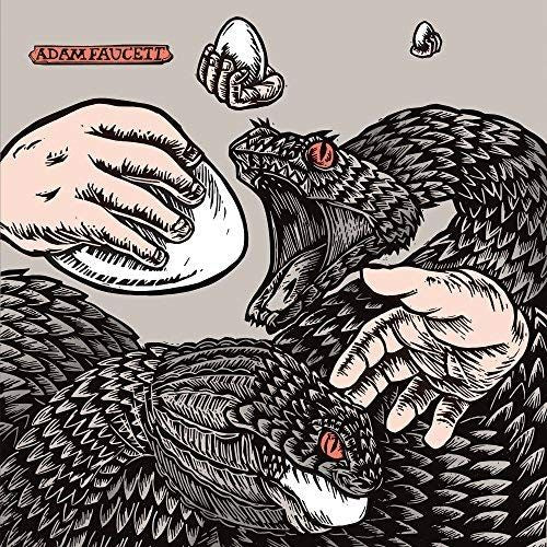 It Took the Shape of a Bird cover art