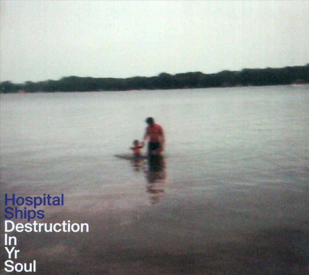 Destruction in Yr Soul cover art
