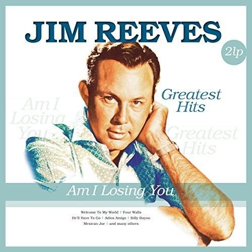 Am I Losing You cover art