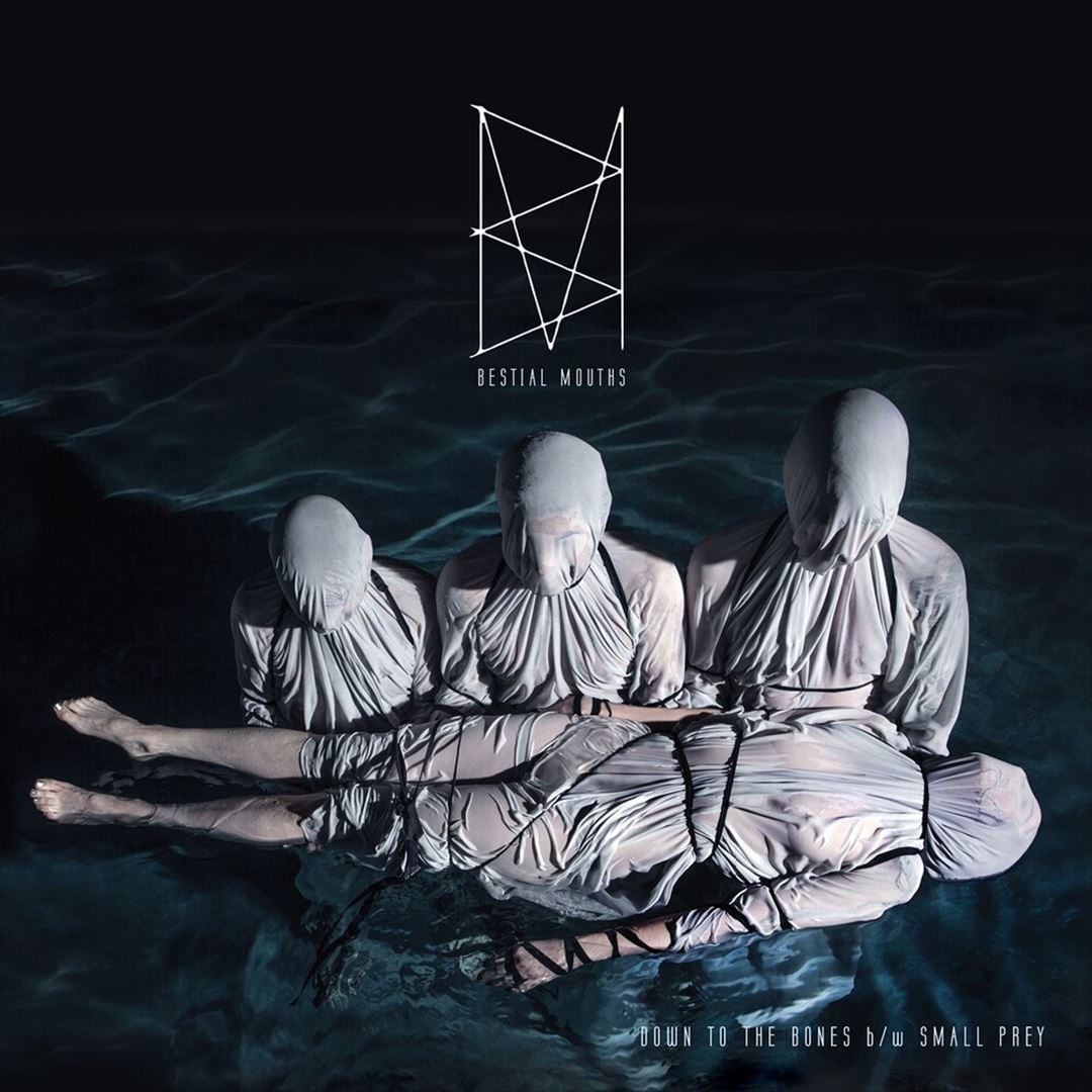 Down to the Bones cover art