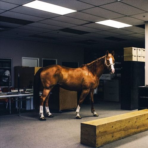 Above Club cover art