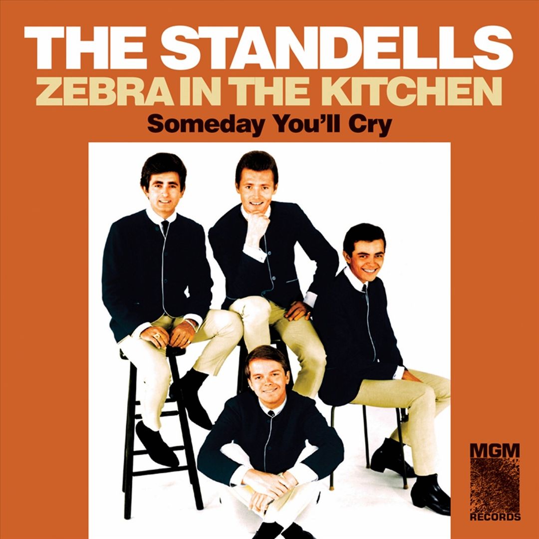 Zebra in the Kitchen cover art