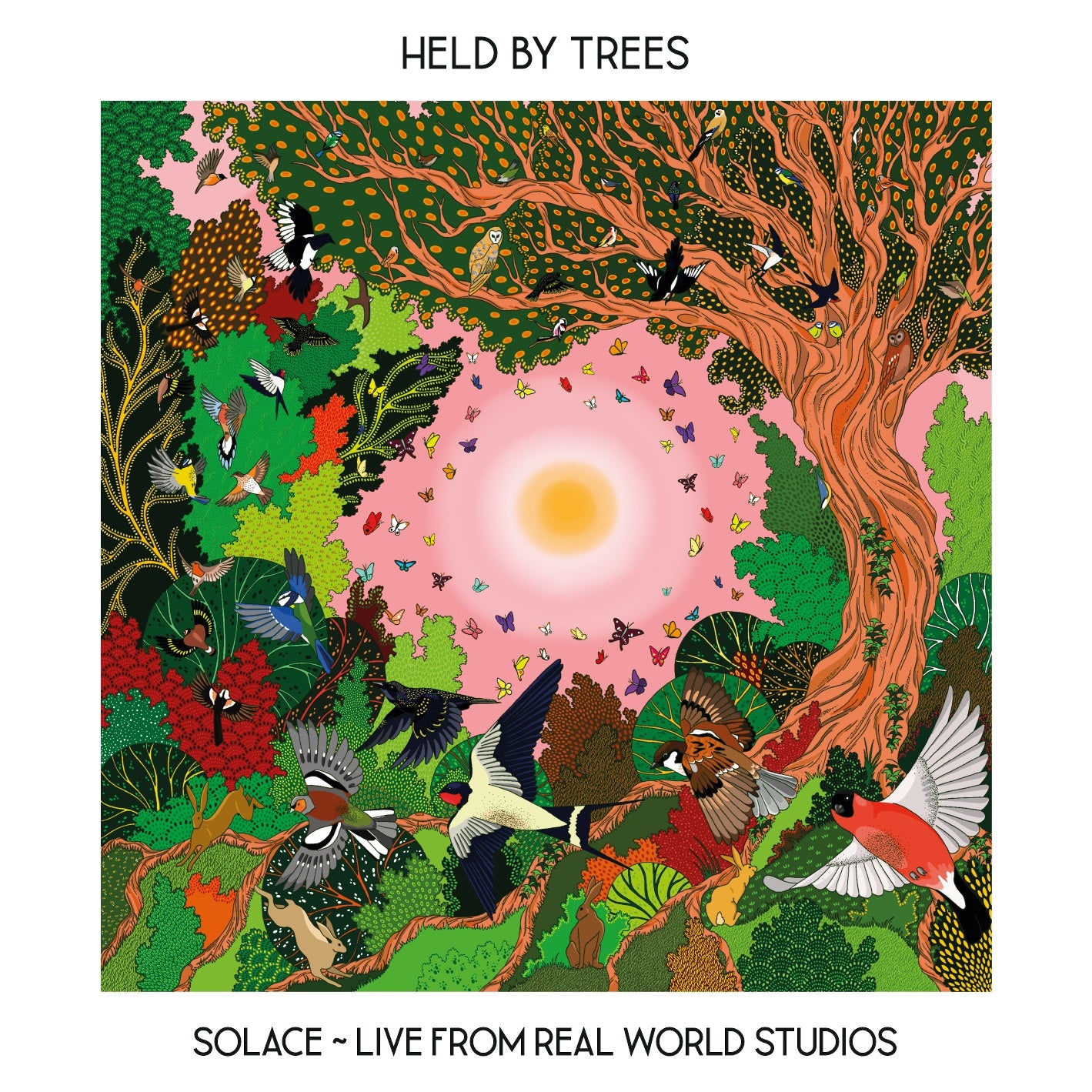 SOLACE ~ LIVE FROM REAL WORLD STUDIOS cover art