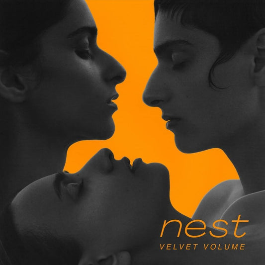 Nest Vinyl cover art