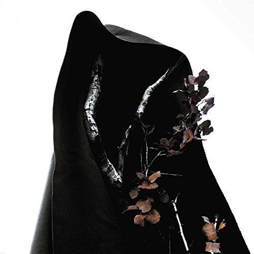 Black Earth cover art