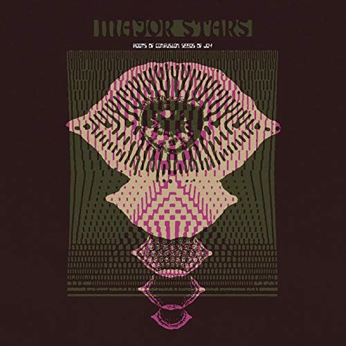 Roots of Confusion Seeds of Joy cover art