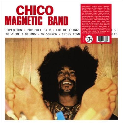 Magnetic Band cover art