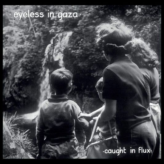 Caught in Flux cover art