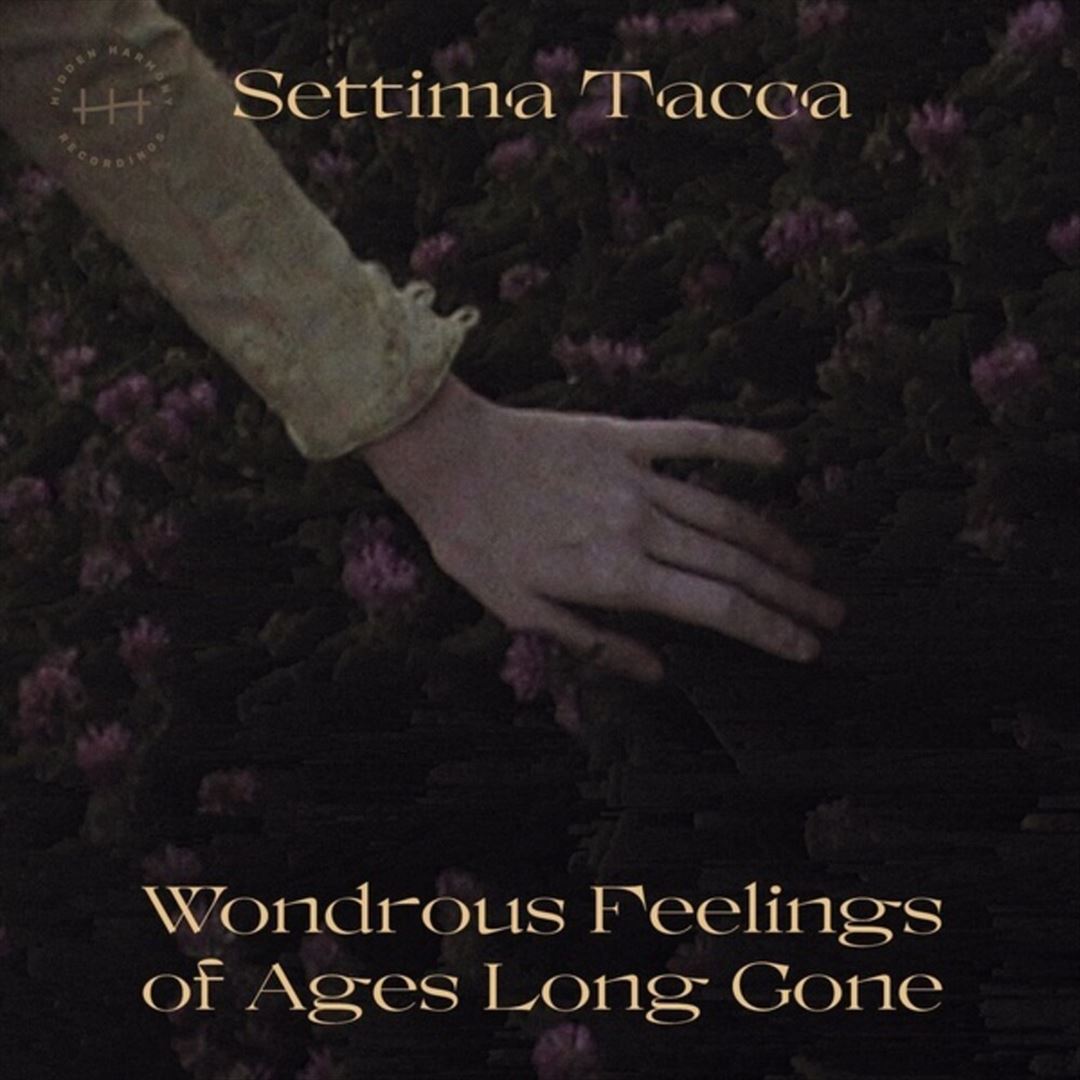 Wondrous Feelings of Ages Long cover art
