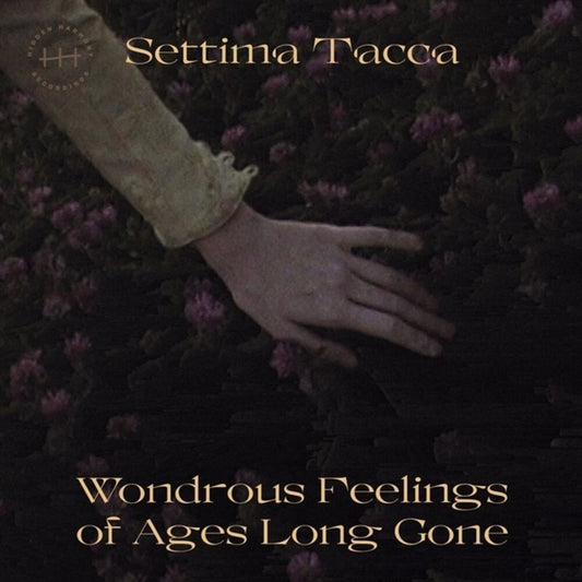 Wondrous Feelings of Ages Long cover art