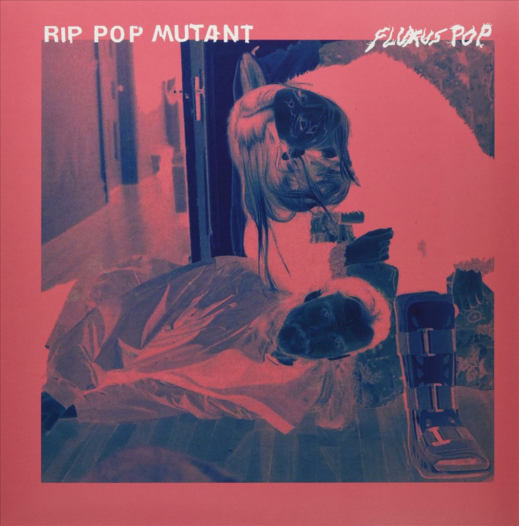 Fluxus Pop cover art