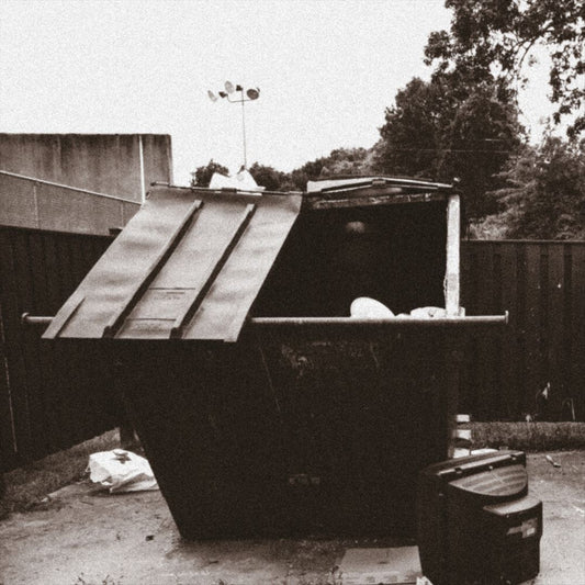 Dumpster Dive cover art