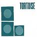 Tortoise cover art