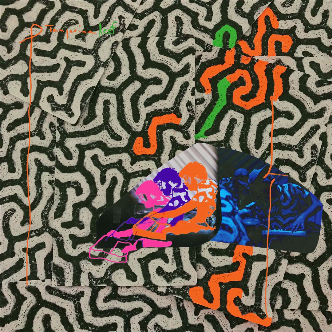 Tangerine Reef cover art