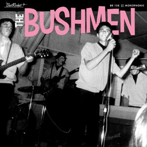 Bushmen cover art